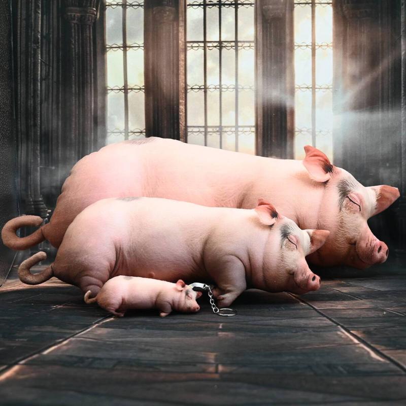 หมอนตุ๊กตาหมูนอนหลับน่ารักสมจร - Home Office With Sofa บทวิจารณ์และราคา