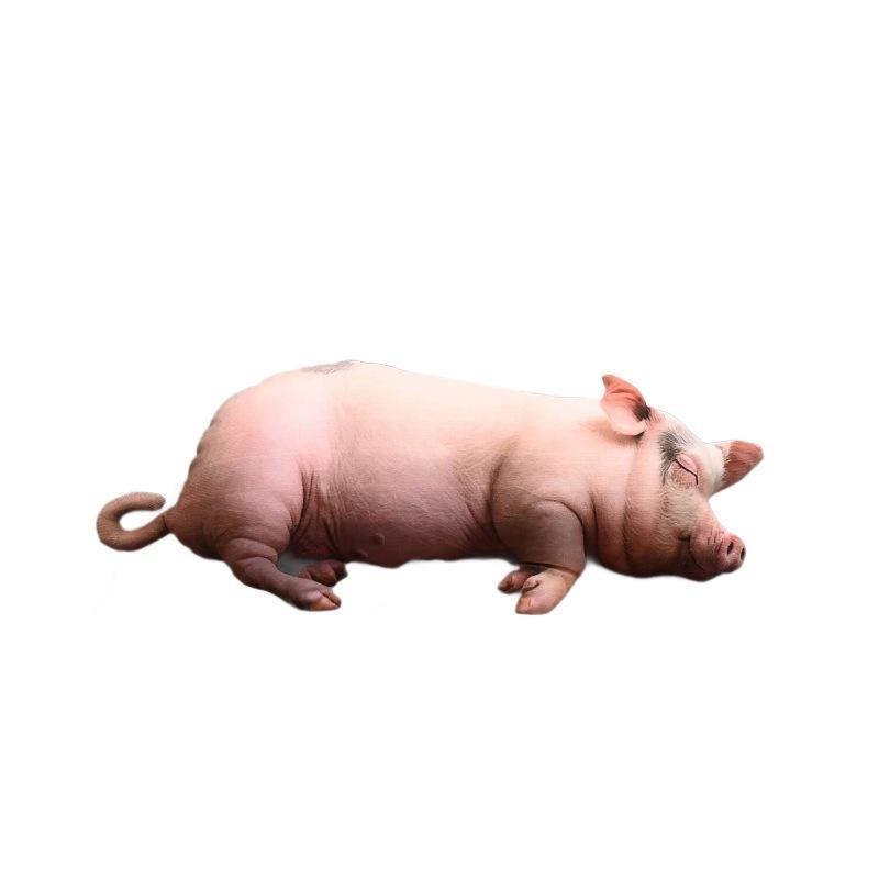 หมอนตุ๊กตาหมูนอนหลับน่ารักสมจร - Home Office With Sofa บทวิจารณ์และราคา
